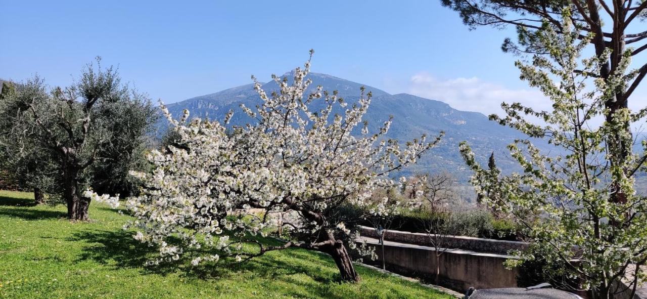 Loup Castel Boutique Hotel B&B Le Bar-sur-Loup 外观 照片