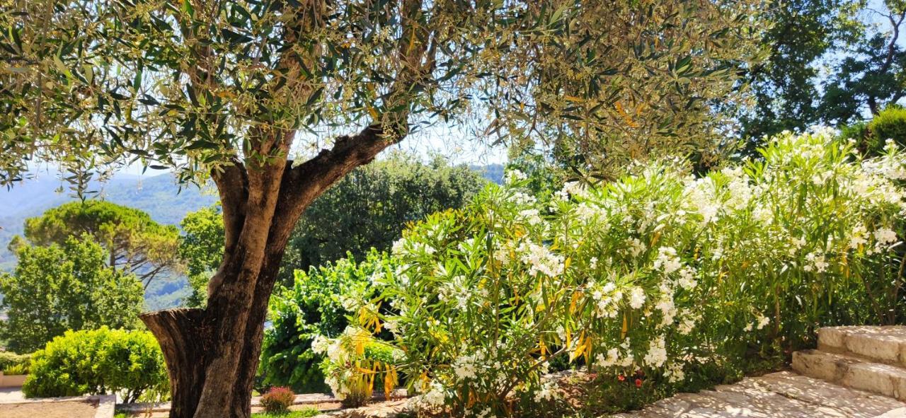 Loup Castel Boutique Hotel B&B Le Bar-sur-Loup 外观 照片